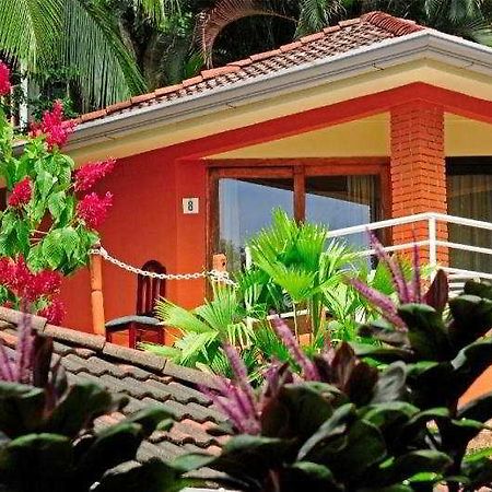 Hotel Villa Teca 마누엘안토니오 외부 사진