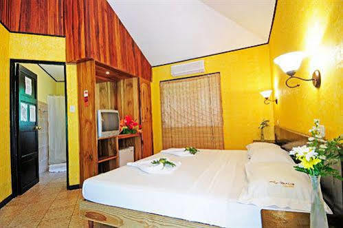 Hotel Villa Teca 마누엘안토니오 외부 사진